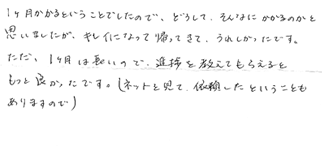 レビュー